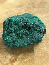 Silky Malachite (Kasompe, Congo) (7)