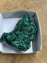 Silky Malachite (Kasompe, Congo) (8)