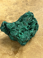 Silky Malachite (Kasompe, Congo) (8)