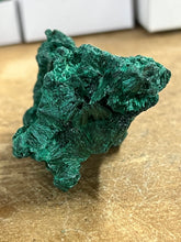 Silky Malachite (Kasompe, Congo) (8)