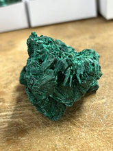 Silky Malachite (Kasompe, Congo) (8)