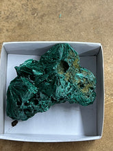 Silky Malachite (Kasompe, Congo) (9)