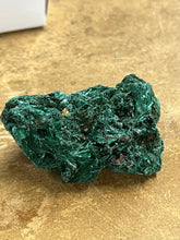 Silky Malachite (Kasompe, Congo) (9)