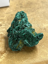 Silky Malachite (Kasompe, Congo) (9)