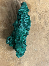 Silky Malachite (Kasompe, Congo) (11)