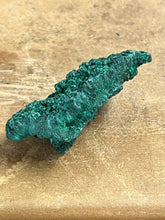 Silky Malachite (Kasompe, Congo) (11)