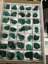 Small Chatoyant Silky Malachite (Kasompe, Congo)