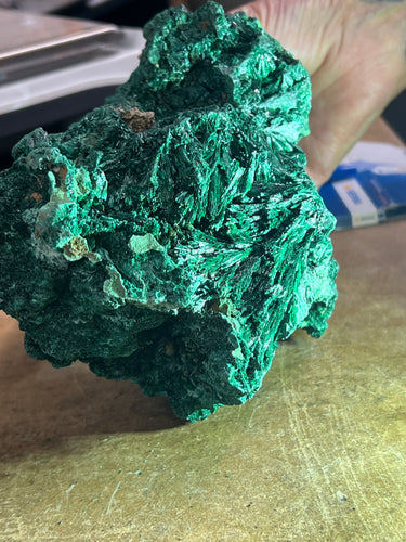 Med. Silky Malachite (Kasompe, Congo)