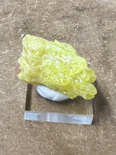 Sulphur (Specimen)