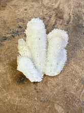 Clear Quartz Specimen (7)