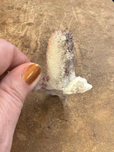 Clear Quartz Specimen (8)