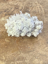 Clear Quartz Specimen (23)