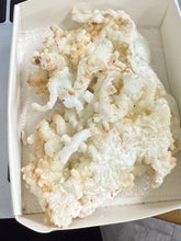 White/Blue Aragonite, Raw
