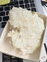 White/Blue Aragonite, Raw