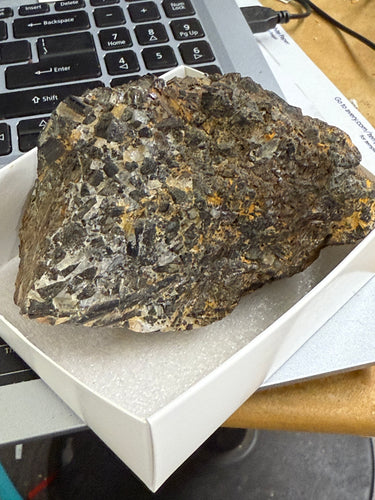 Lg. Black Tourmaline (Schorl)Specimen