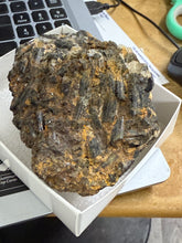 Lg. Black Tourmaline (Schorl)Specimen