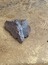 Pyrolusite (13)