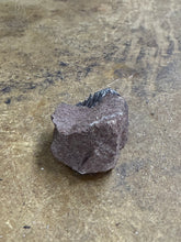 Pyrolusite (19)