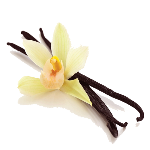 Vanilla Bean (Organic)