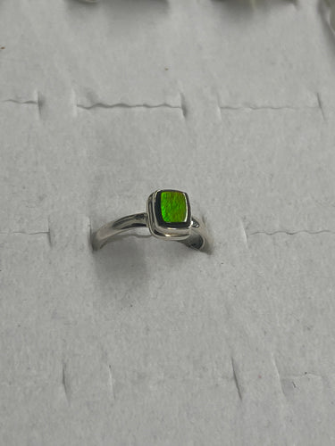 Ammolite Sterling Silver Ring (Size 8)