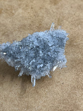 Clear Quarts Needle Cluster (5)