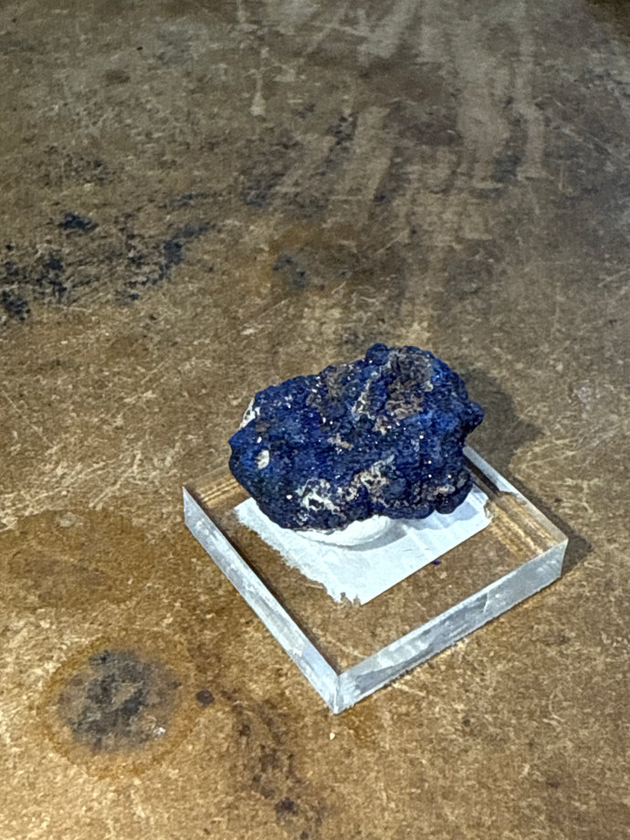 Azurite in Perky Box on Acrylic Stand (4)