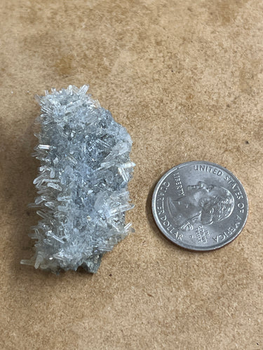 Clear Quarts Needle Cluster (7)