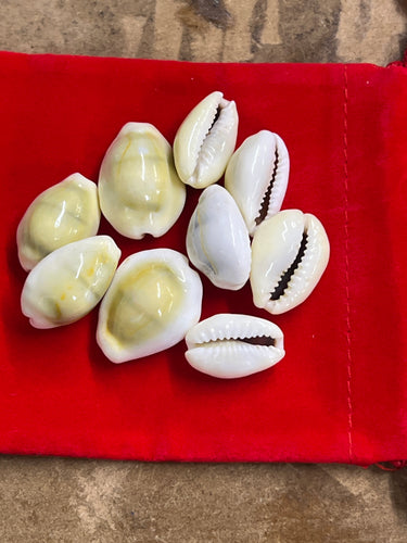 Destroy Evil/Protection Shells w/ Red Bag