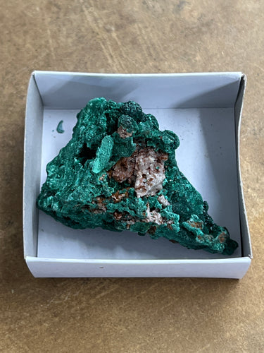 Silky Malachite (Kasompe, Congo) (1)