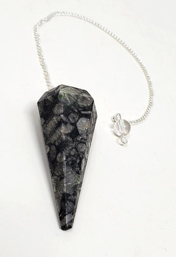 Black Coral Fossil Gemstone Pendulum