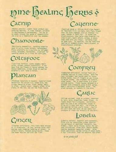 9 Healing Herbs Page
