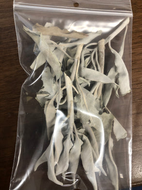 Whole Sage Leaf