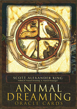 Animal Dreaming Oracle Cards