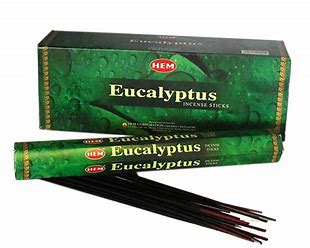 Precious Eucalyptus Incense Hex Pack