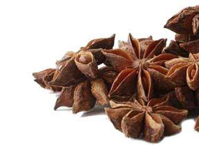 Star Anise