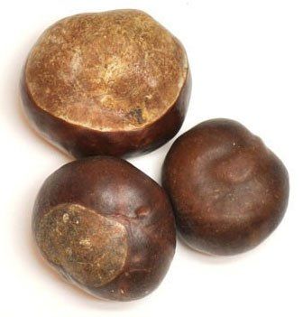 Buckeyes (Whole)