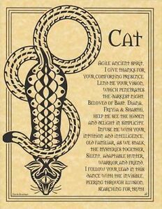 Cat Prayer Page