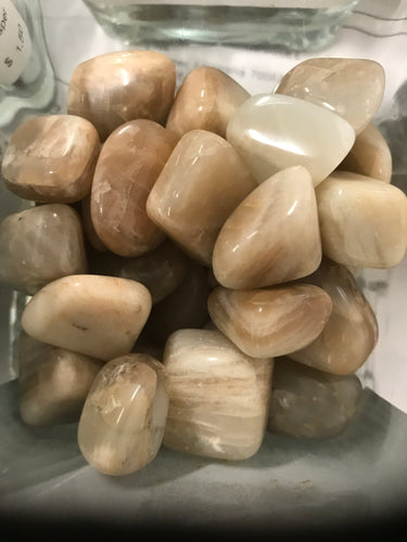 Mixed Moonstone Chips (12-15mm)