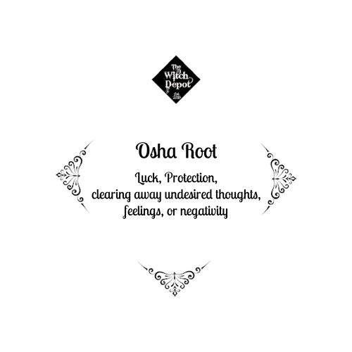 Osha Root (Bear Root)