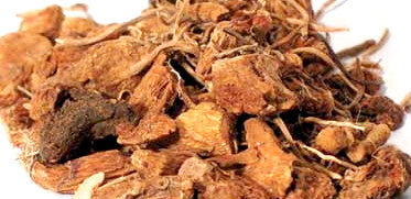 Solomon's Seal Root