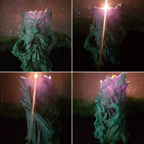 Spirit of the Forest