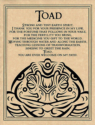 Toad Prayer Page