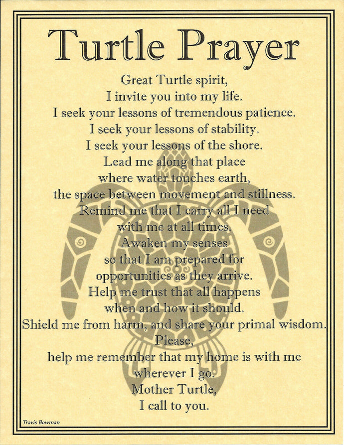 Turtle Prayer Page