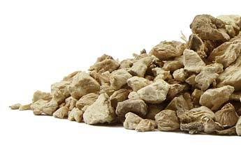 Wild Yam Root (Discontinued)